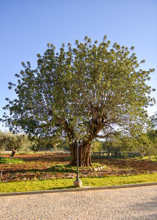 Quinta Dos Tesouros Βίλα São Brás de Alportel Εξωτερικό φωτογραφία