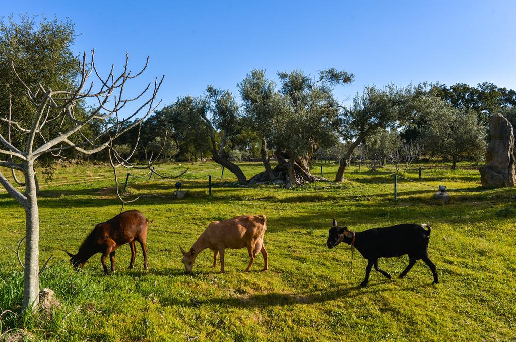 Quinta Dos Tesouros Βίλα São Brás de Alportel Εξωτερικό φωτογραφία